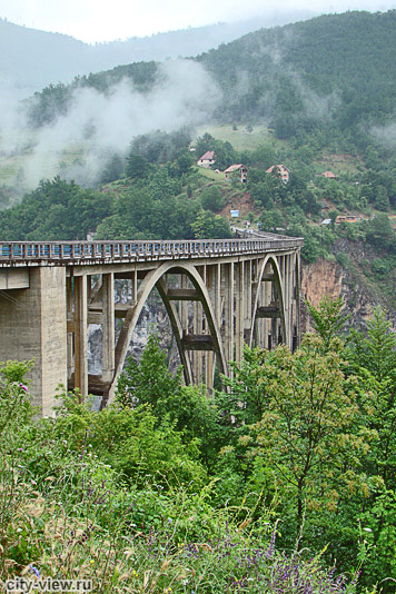Мост Джурджевича Тара