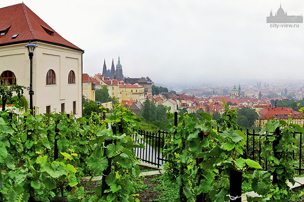 Вид на Град и Малу Страну со смотровой у Страговского монастыря