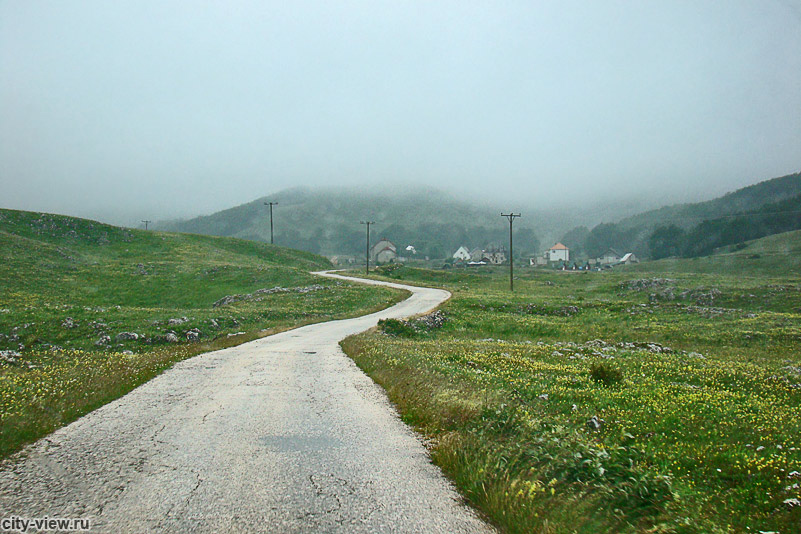 Дорога в деревню Трса