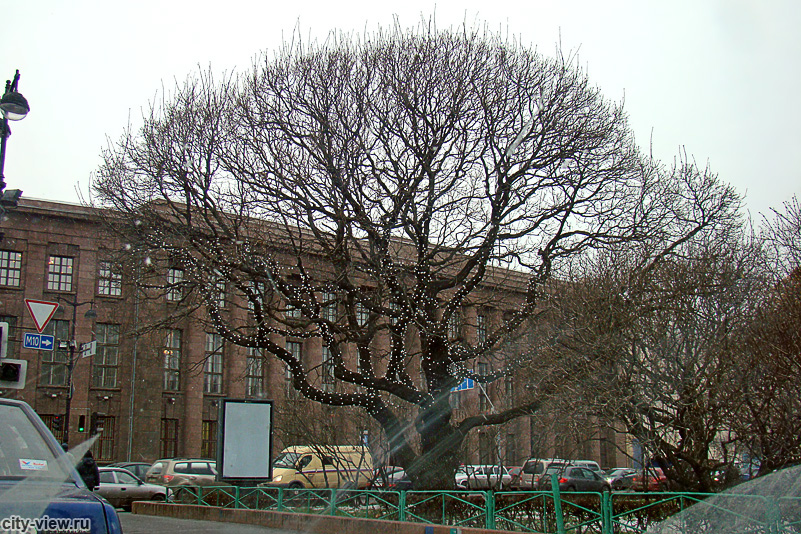 Сквер на Исаакиевской площади, здание Германского посольства