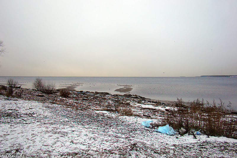 Финский залив - Невская губа